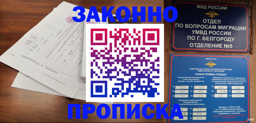 прописка в Малой Вишере